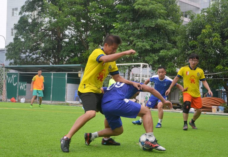 DSC 0027b 768x527