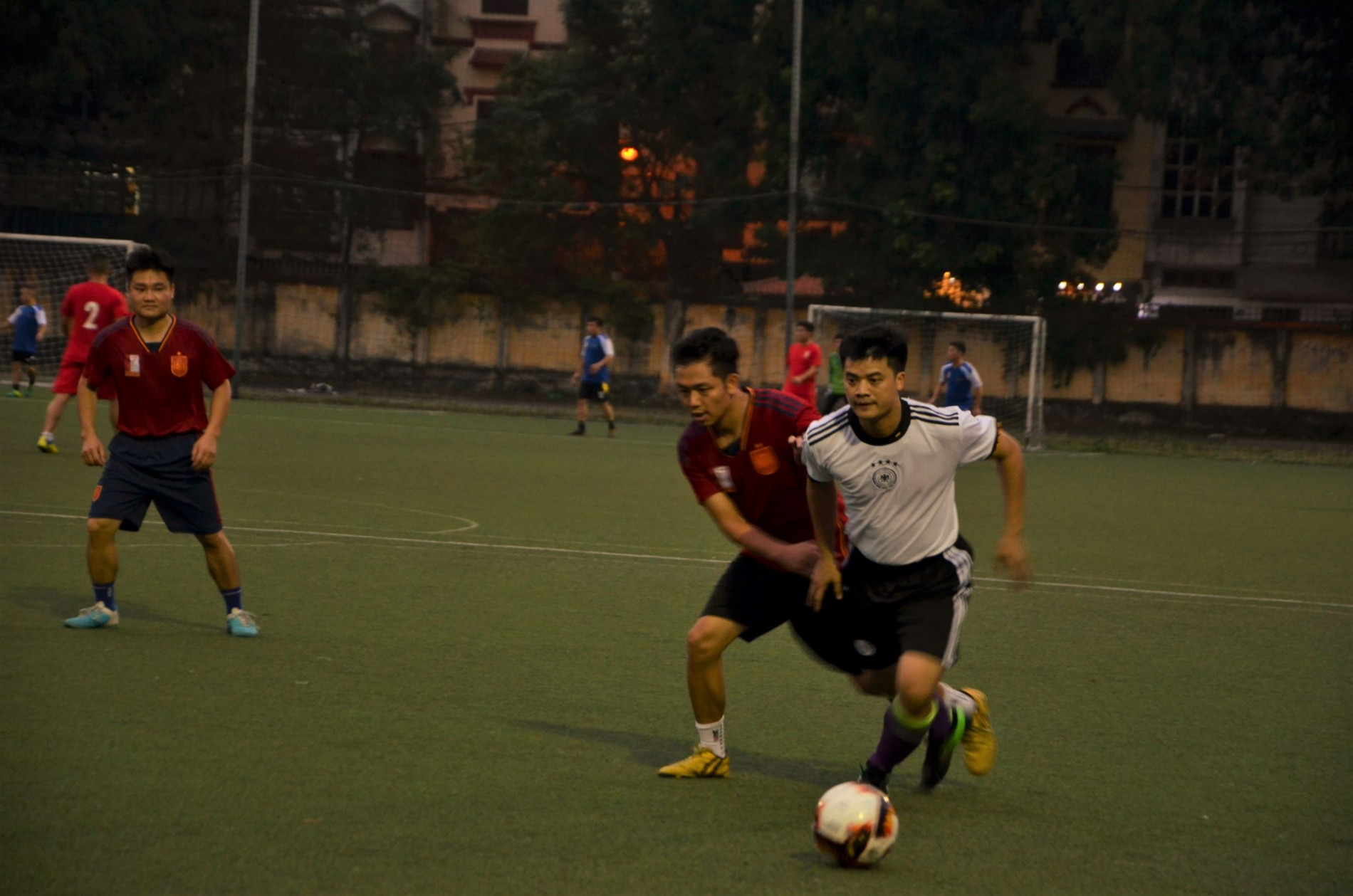 DSC 0117ab 2048x1356