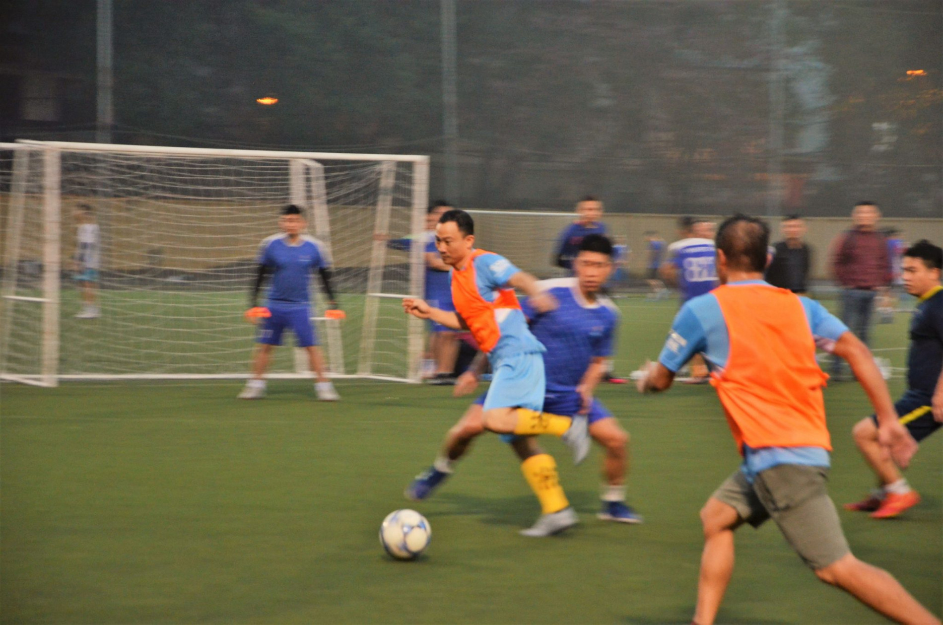 DSC 0344ab 2048x1357